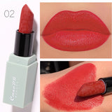 Ladies Fashion Velvet Mousse Lipstick Set