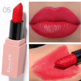Ladies Fashion Velvet Mousse Lipstick Set